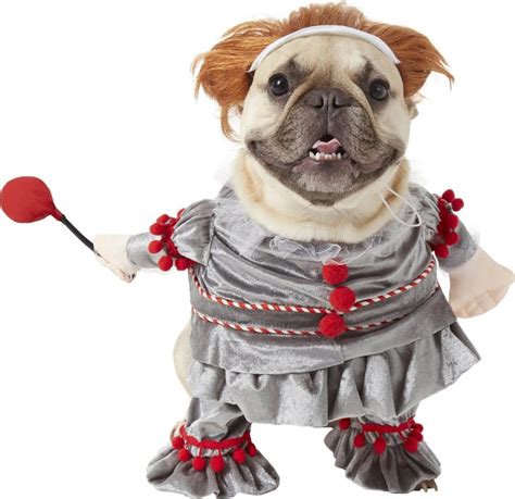 dog jester costume|cute dog halloween costumes.